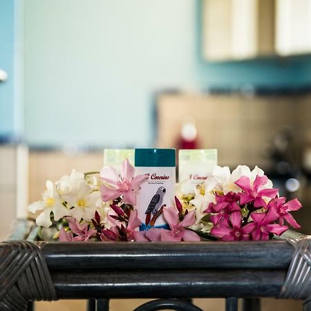 B&B Il Cenerino Sant'Antìoco Eksteriør billede