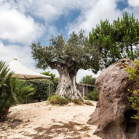 B&B Il Cenerino Sant'Antìoco Eksteriør billede