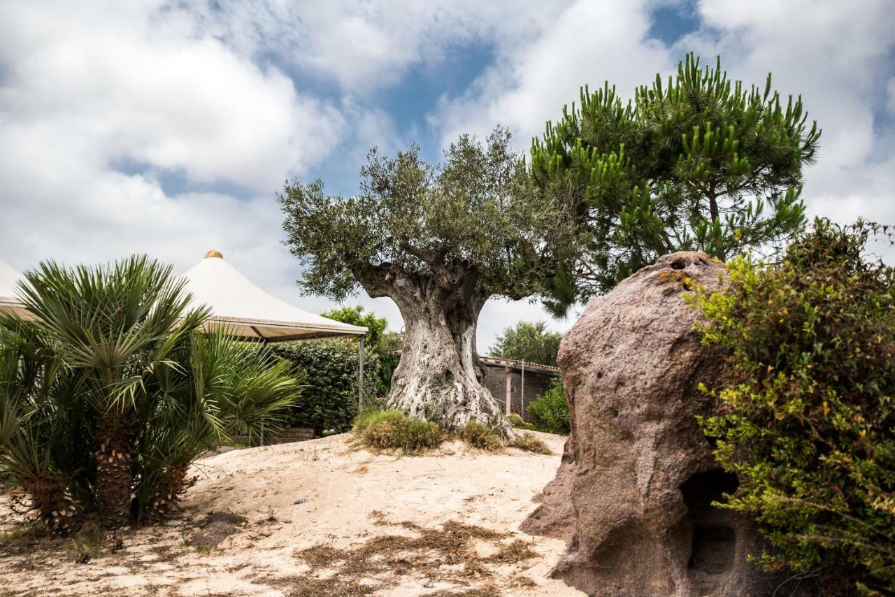B&B Il Cenerino Sant'Antìoco Eksteriør billede